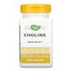 Nature's Way Choline 500 мг 100 таблеток