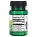 Swanson DHEA 100 mg 60 капсул